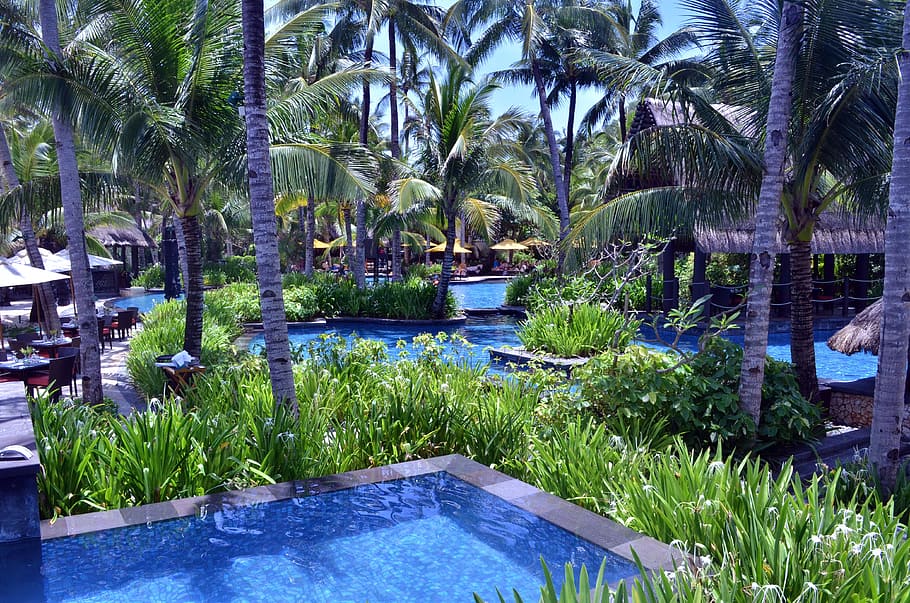 interior, resort, árboles, piscina del hotel, piscina del resort, piscina al aire libre, piscina, viajes, agua, descanso