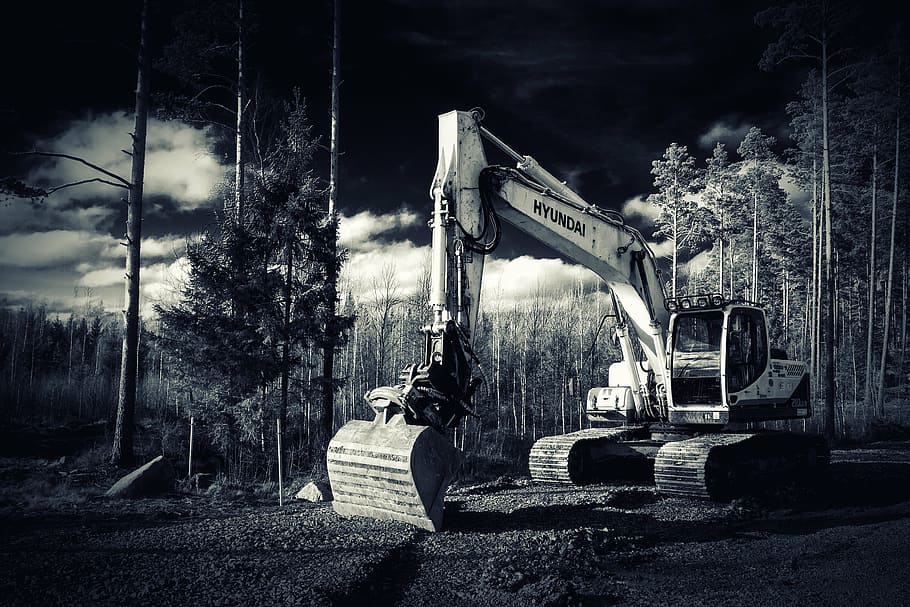 excavator, forest, construction machine, black and white, machine, the device, industry, machinery, equipment, earth Mover