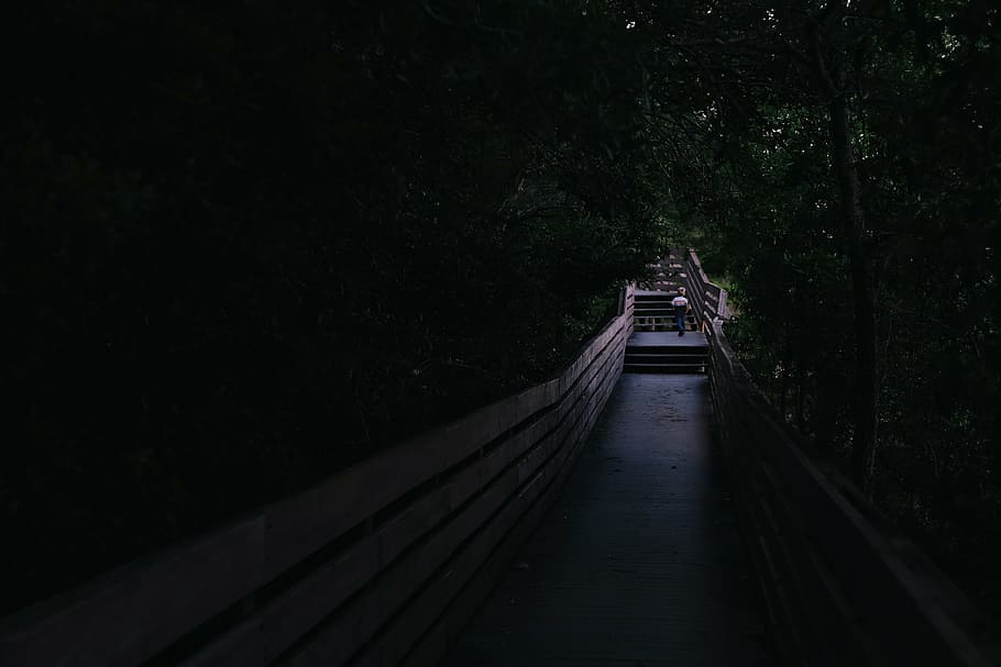 concrete, pathway, plants, people, walking, travel, alone, bridge, dark, trees