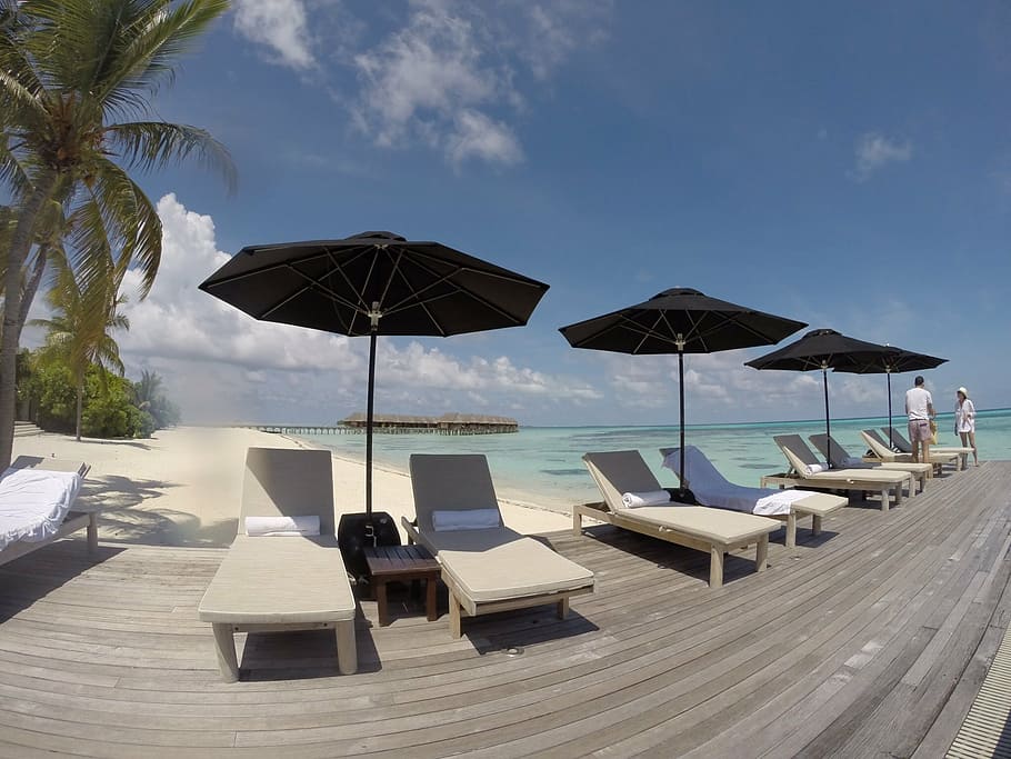 sun, sunbathe, summer, tropical, relaxation, relax, water, sea, chair, lounge chair