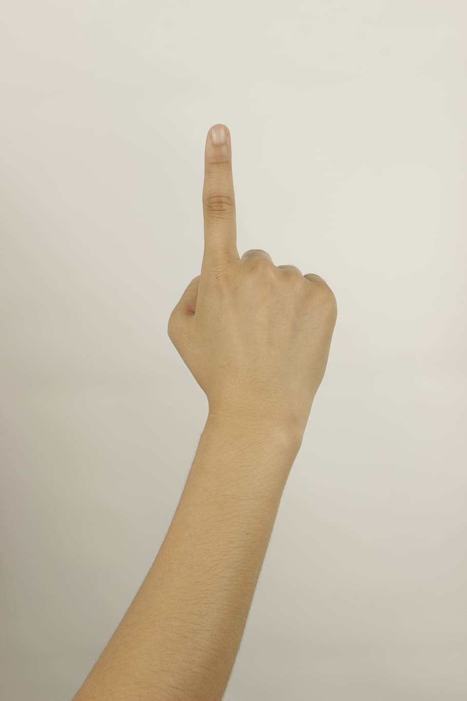 persona correcta, dedo índice, mano, dedo, el gesto, gesticular, dedo humano, pulgar, personas, signo