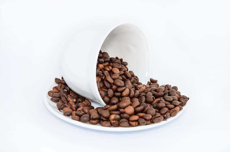 coffee beans, white, ceramic, plate, coffee, the drink, caffeine, the brew, coffee maker, restaurant