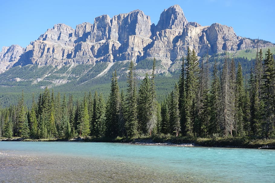 canada, banff, mountains, river, forest, landscape, water, nature, water running, mountain landscape