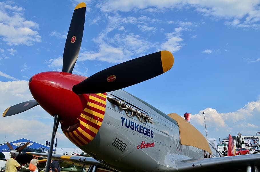 P-51, Mustang, Mustang, Fighter, Tuskegee, Plane, p-51, mustang, fighter, military, aviation, airplane