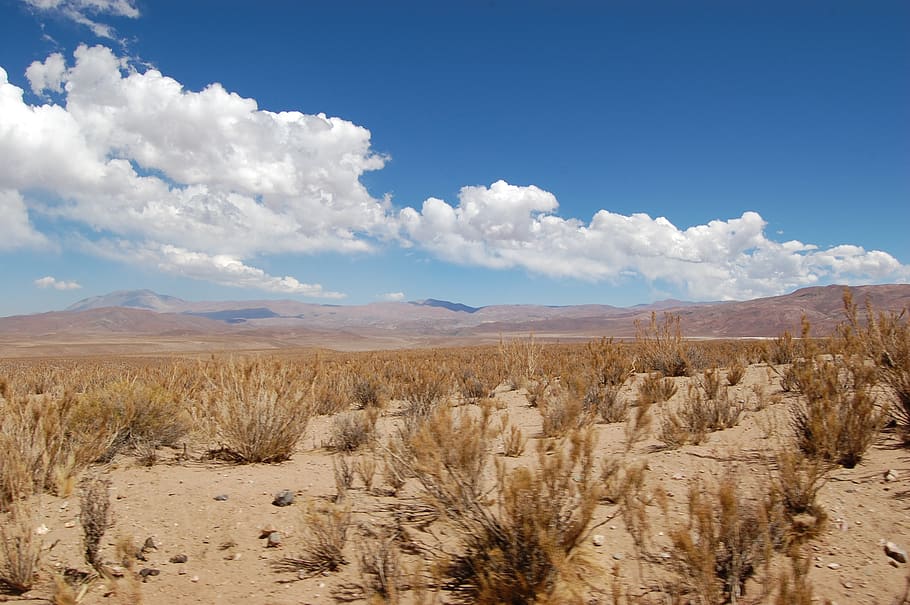 chile, landscape, atacama desert, nature, desert, sand, dry, hot, travel, scenic