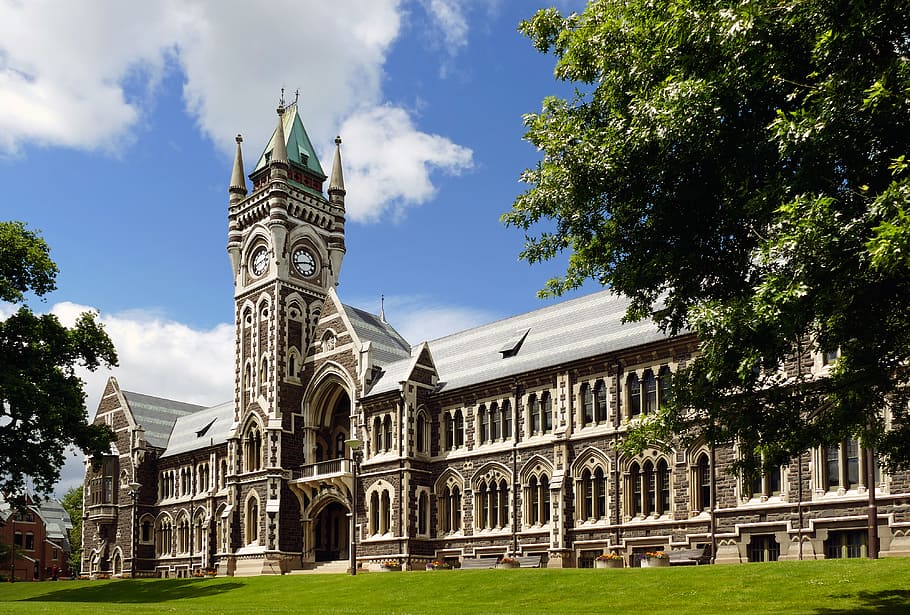 University, Otago, Clocktower, NZ, Elizabeth tower, architecture, built structure, tree, building exterior, sky
