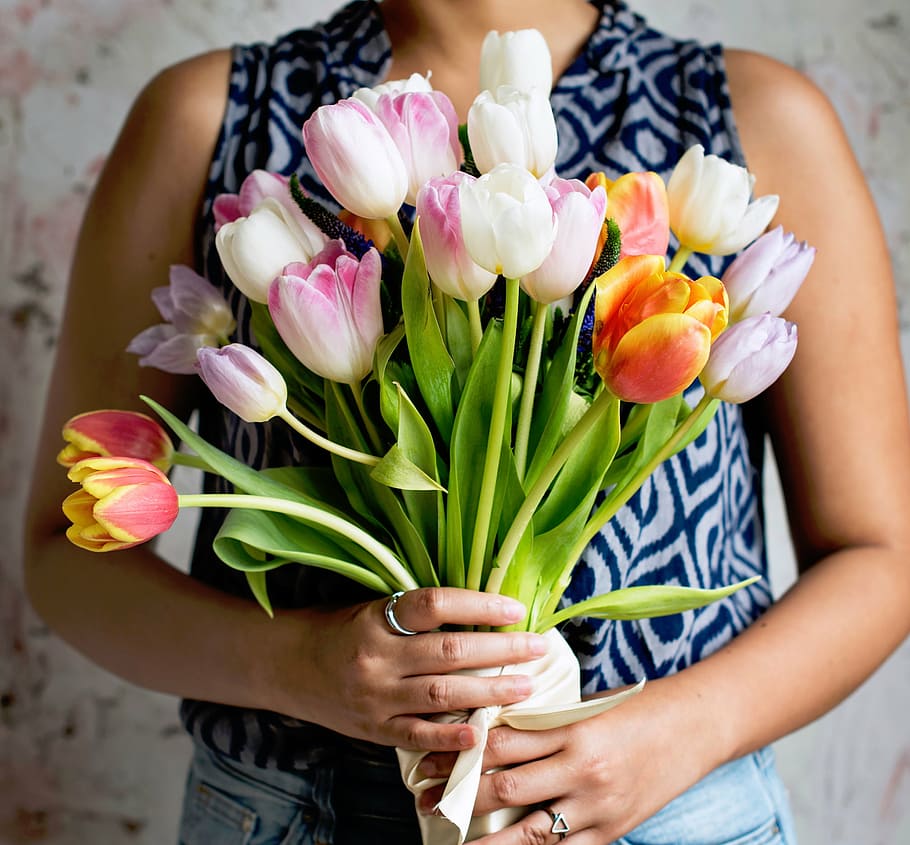 mujer, celebración, ramo, tulipanes, naturaleza, flores, pétalos, verde, colorido, personas
