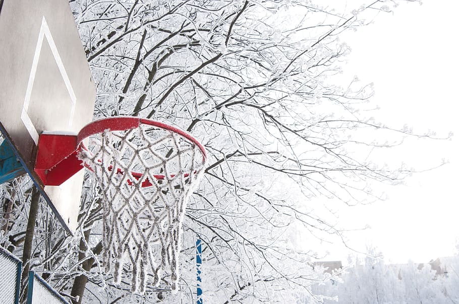winter, snow, coldly, leann, ice, ring, basketball, frost, cold, trees