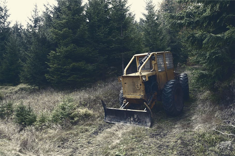 front loader, trees, yellow, backhoe, loader, surrounded, green, pine, daytime, tractor