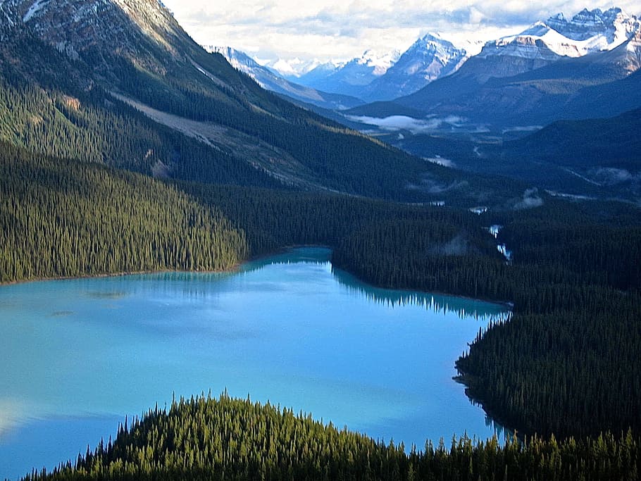 corpo, água, meio, verde, montanhas, corpo de água, montanhas verdes, lago peyto, alberta, canadá
