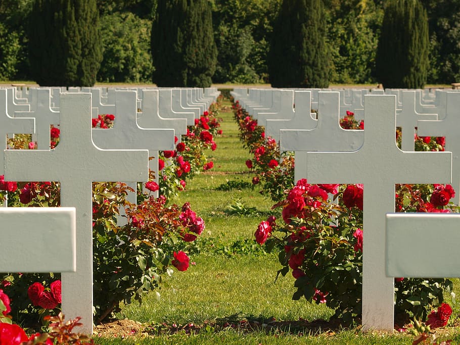 France, Douaumont Ossuary, Cemetery, graves, headstone, historical, landmark, crosses, flowers, roses