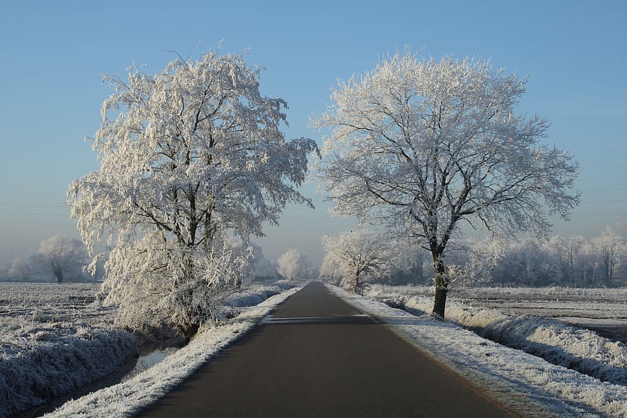 Winter, Snow, Freezing, Landscape, zing, winter landscape, ze, snow landscape, road, the way forward
