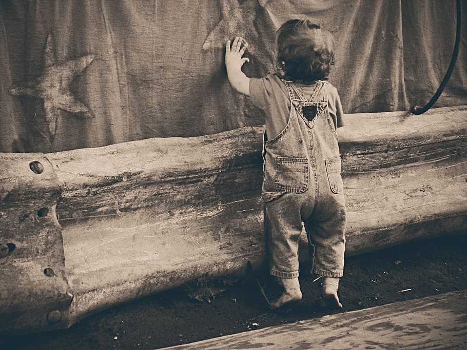 niño, tenencia, superficie de la tela, gris, escala, fotografía, niño pequeño, de pie, al lado, cortina