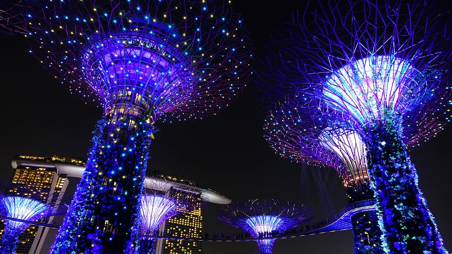 Garden, Bay, Singapore, Night, garden by the bay, lighting, landmark, supertree, attraction, colorful