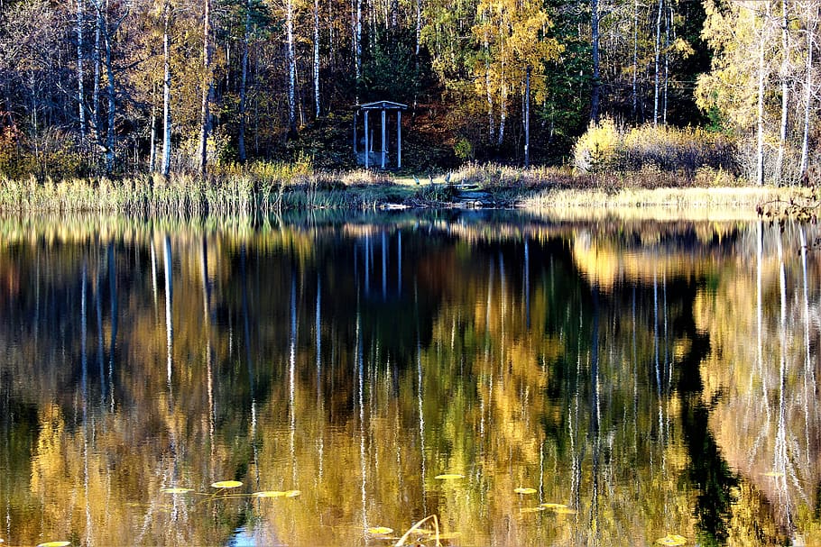 lake, water, nature, wilderness, landscapes, forest, autumn, tree, reflections, atmosphere