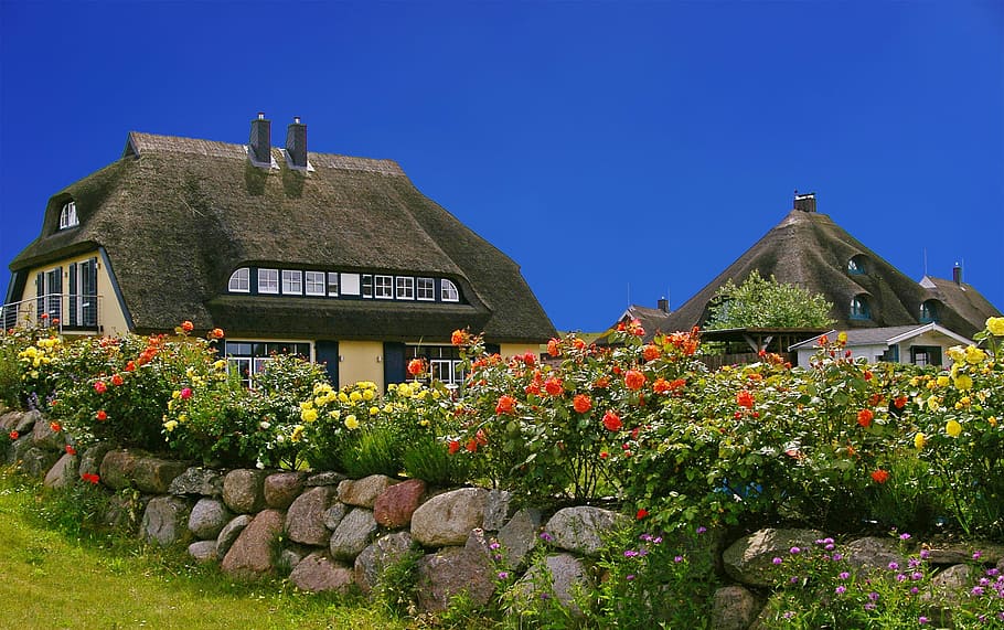 residence house, Rügen, Island, Thatched, Rügen Island, rügen, island, baltic sea, home, thatched roof, thatched cottage