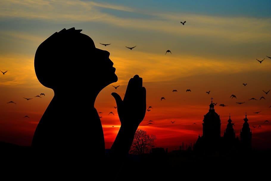 silhouette photography, person, praying, religion, faith, pray, man, church, sunrise, christianity