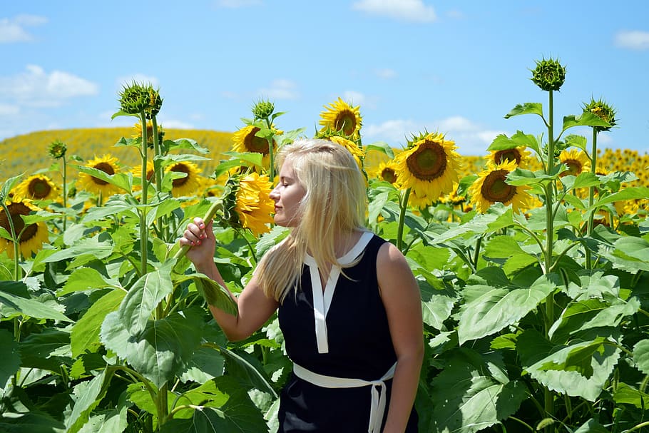 woman, standing, sunflowers, blond, girl, field, smell, summer, summertime, flowers