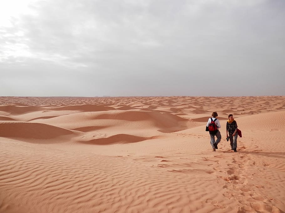 sahara, desert, tunisia, land, sand, sky, togetherness, two people, sand dune, scenics - nature