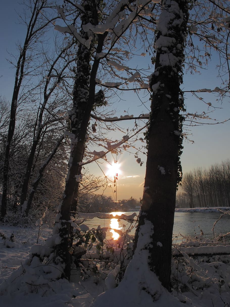 snow, france, river, sun, winter, cold temperature, tree, plant, nature, tranquility