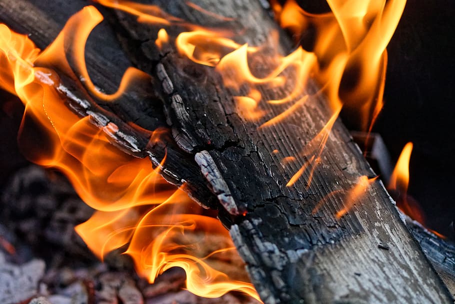 fire, flame, wood, charred, ash, brand, burn, heat, hot, light