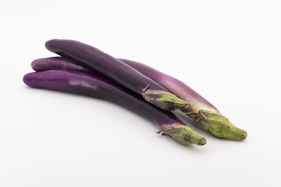 eggplant, melanzana, solanum melongena, nachtschattengewächs, vegetables, healthy, vitamins, food, food and drink, vegetable