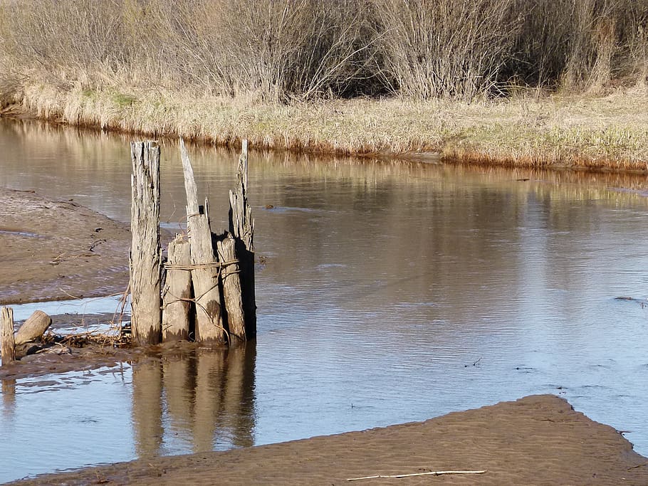 río, agua, postes de madera, marismas, humedales, paisaje, pantano, pastos, naturaleza, campo