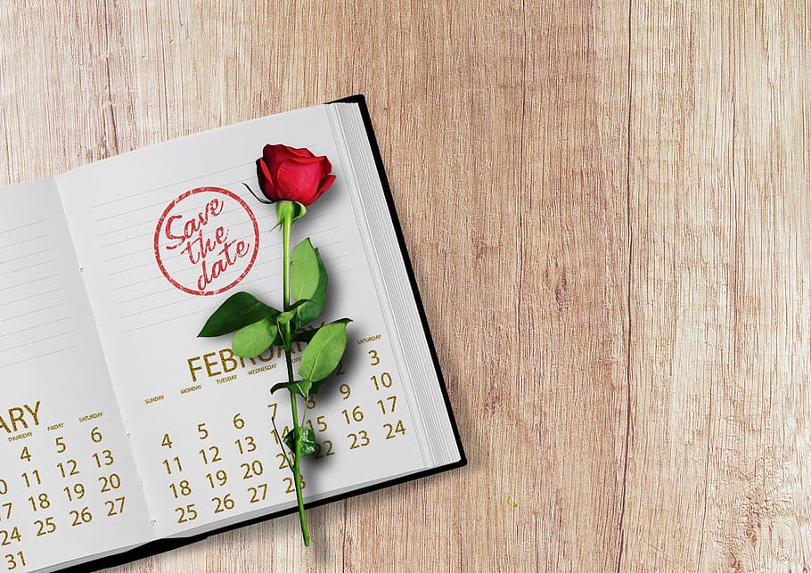 red, rose, book, calendar, stamp, date, year, day, week, days of the week