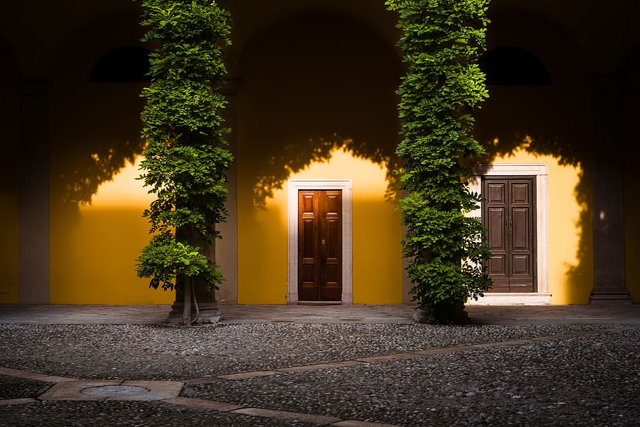 two, closed, door, tree infront, yellow, cyprus trees, square, paving, light and shadow, entrance