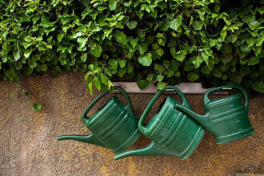 watering can, garden, casting, green, green thumb, water, gardening, irrigation, plant, vessel