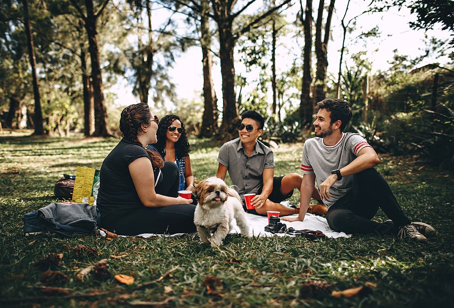 friends, picnic, park, dog, animal, people, male, female, man, woman