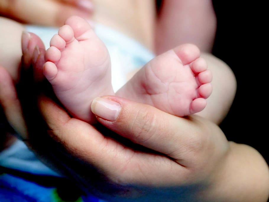 person, holds, baby, hand, feet, ten, newborn, baby feet, reborn, small