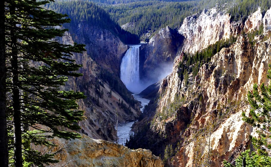 Yellowstone, Lower Falls, mountains, waterfalls, beauty in nature, mountain, scenics - nature, tranquil scene, tranquility, tree