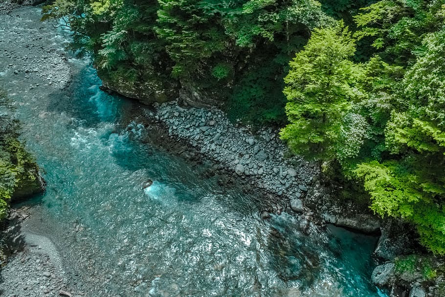 aerial, river, trees, body, water, nature, forests, grass, lush, vegetation