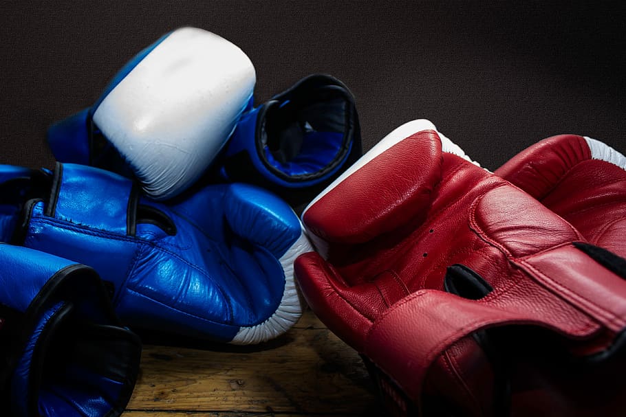 dos, pares, azul, rojo, guantes de entrenamiento, Guantes, Box, Entrenamiento, Boxeo, Arena