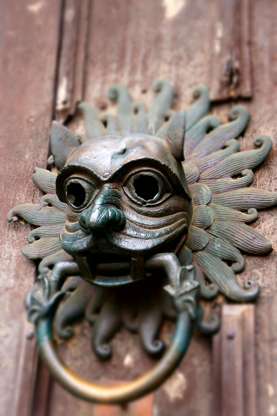 door knocker, door, face, metal, knocker, brass, entrance, traditional, lion, head