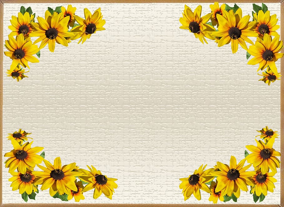 tarjeta de felicitación, flor amarilla, bordes, planta floreciendo, flor, amarillo, planta, frescura, belleza en la naturaleza, cabeza de flor