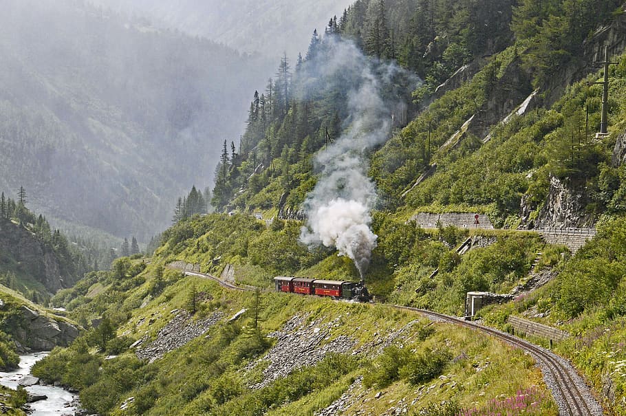 train, passing, mountain, covered, trees, daytime, switzerland, high rhône valley, steam railway furka-bergstrecke, dfb