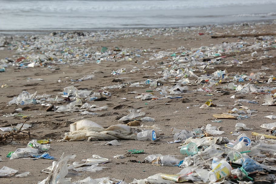 tumpukan, sampah, pantai, siang hari, lingkungan, polusi, limbah, pembuangan limbah, plastik, limbah plastik