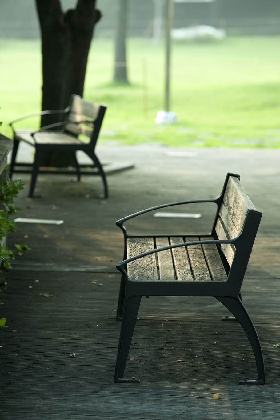 silla, banco, parque, descanso, naturaleza, caminar, jardín, banco de madera, asientos vacíos, percha