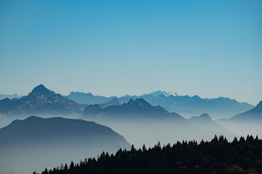 mountains, covered, fogs, daytime, trees, silhouette, within, mountain, range, fog