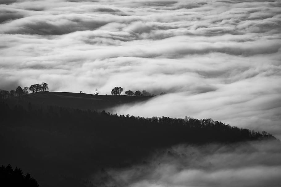 black and white, sky, clouds, fogs, cold, trees, plants, nature, mountain, landscape