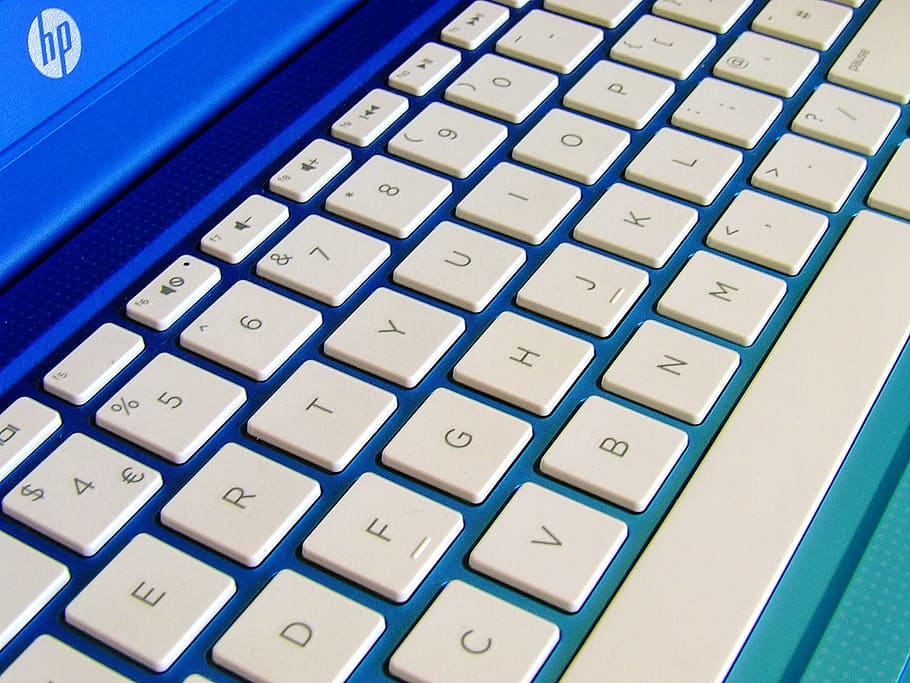 blue, white, hp laptop, windows 10 laptop, blue laptop, white keyboard, laptop, computer, keyboard, business