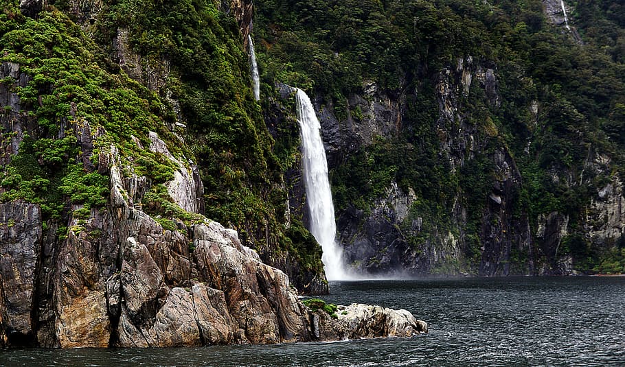 Fiordland, National, Park, NZ, waterfall in forest, waterfall, water, tree, plant, forest