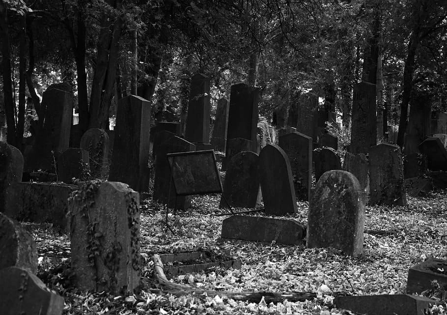 gravestones, daytime, greyscale photography, cemetery, tombstone, death, leave, tomb, old, haunting