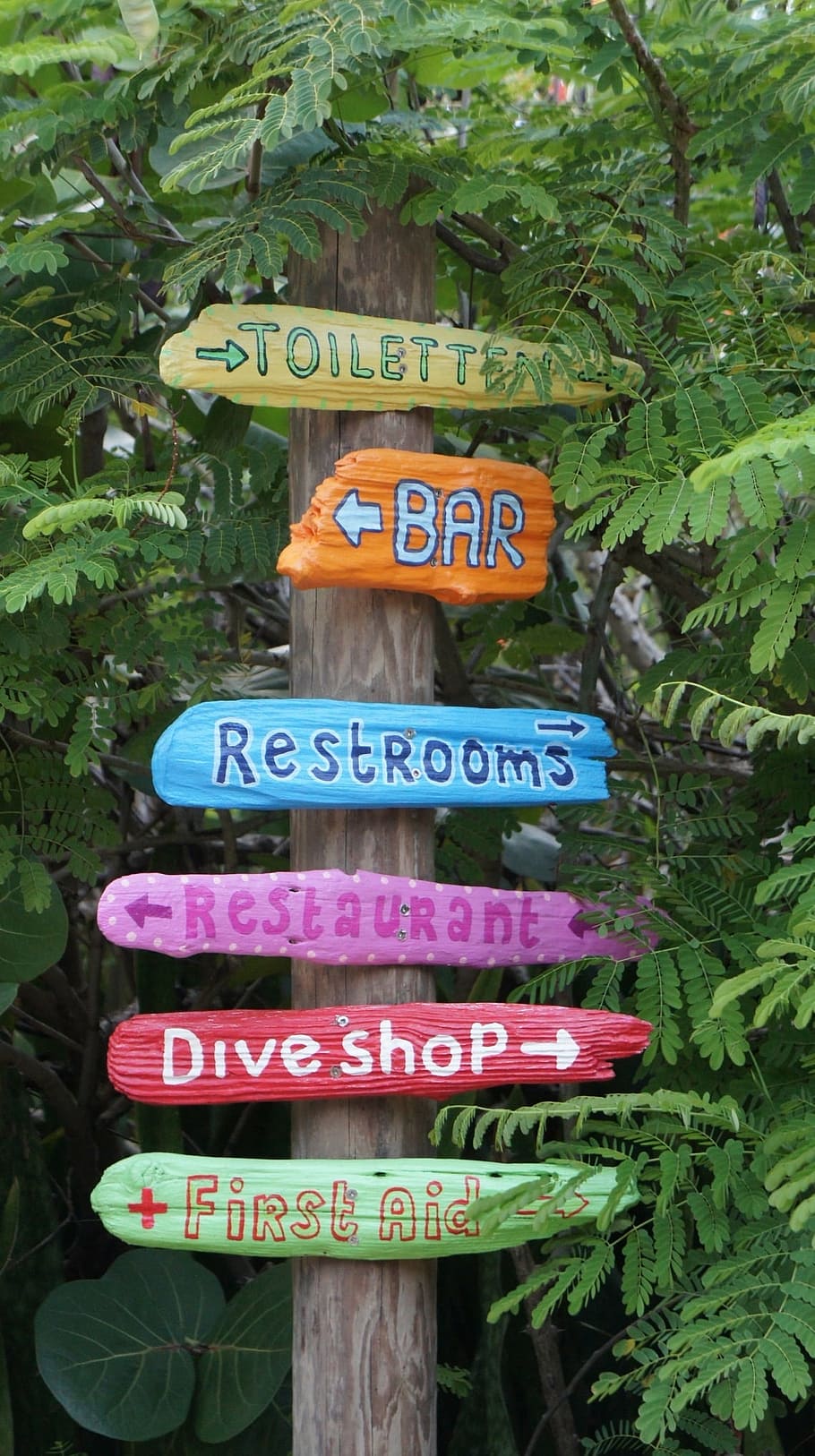 assorted signage, directory, signposts, direction, bar, toilet, restaurant, curacao, dive shop, green