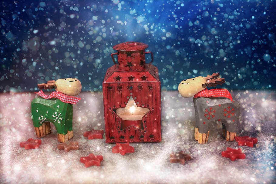 reindeer, deco, christmas, lantern, candle, light, advent, christmas motif, christmas greeting, cute