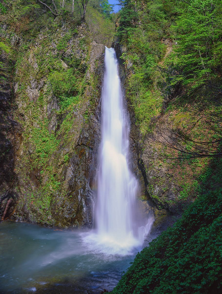 landscape, waterfall, fresh green, water, the dark gate of the second waterfall, shirakami-sanchi, japan, scenics - nature, beauty in nature, motion