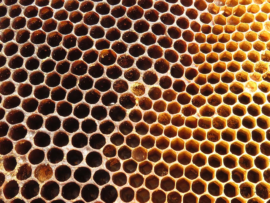 hive, radius, bees, wax, beekeeping, alveoli, honeycomb, pattern, close-up, backgrounds