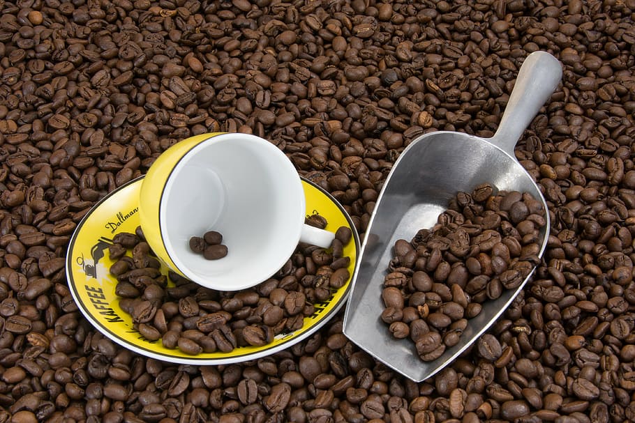 amarillo, blanco, cerámico, taza, plato, granos de café, taza de café, portada, café, platillo